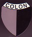 Pin CA Colon